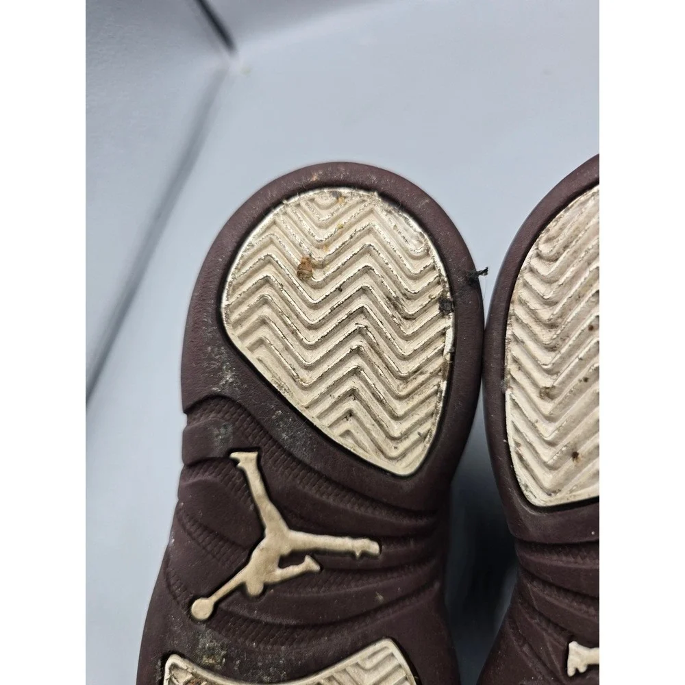 Jordan 12 retro